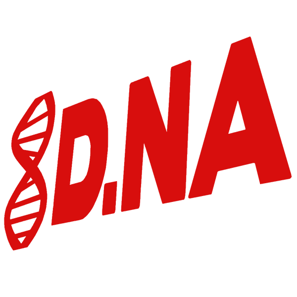 davidnakayama logo